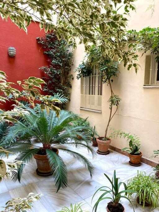 Acogedor Y Tranquilo Cerca De Las Setas - Centro Seville Ngoại thất bức ảnh