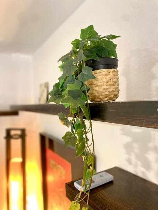 Acogedor Y Tranquilo Cerca De Las Setas - Centro Seville Ngoại thất bức ảnh